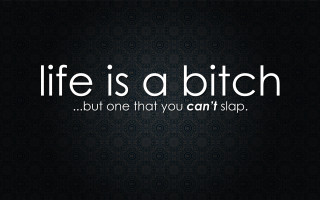 Life is a bitch funny - life free wallpaper