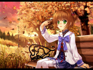 Girl bench park tree bird - overhead free wallpaper