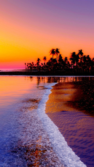 Beach sunset palm trees water 3 - wave free wallpaper