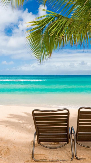 Chairs beach ocean palm tree - free bikini wallpaper