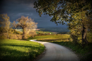 Dirt road green field trees 3 - a dark sky in the background free wallpaper