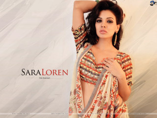 Woman sari posing picture hands - her arm behind her head free wallpaper