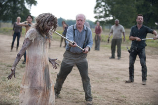 Zombie costume group field baseball - ada gladys killins free wallpaper