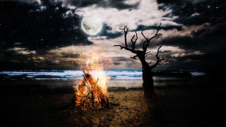 Fire pit beach full moon - a fire pit free wallpaper