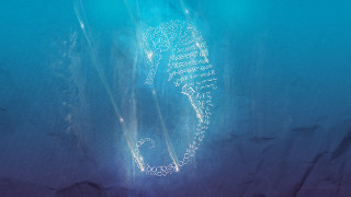 Sea horse swimming blue background - the water free wallpaper
