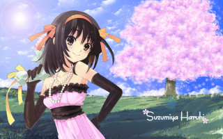 Girl pink dress tree flower - a pink dress free wallpaper
