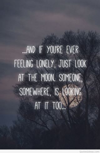 Full moon trees quote feelings - charles schulz free wallpaper