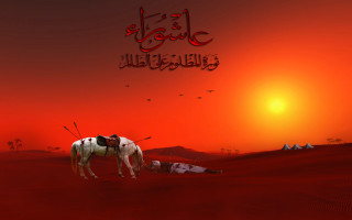 Horse desert sunset sign algeresh - a horse free wallpaper
