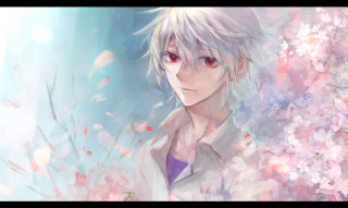 White hair red eyes anime - flower and trees free wallpaper