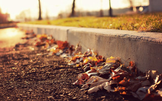 Leaves curb streetlight autumn blurry - a bunch of leaves free wallpaper