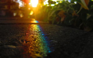 Rainbow line sunlight plant building - line free wallpaper