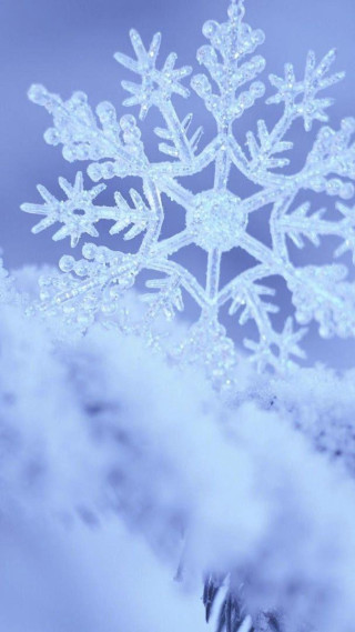 Snowflake in the middle of 2 - the middle of the picture free wallpaper