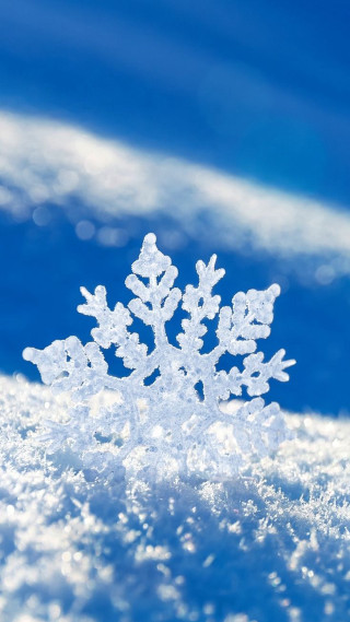 Snowflake sunny day blue sky - the snow free wallpaper