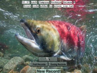 Fish swimming water rocks caption - donald roller wilson free wallpaper
