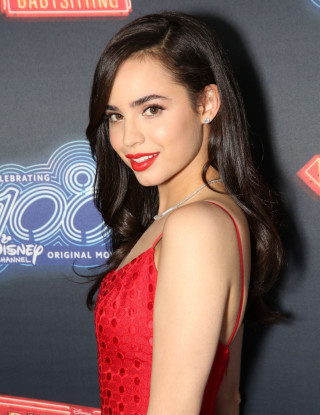 Red dress woman red carpet - a red carpet free wallpaper