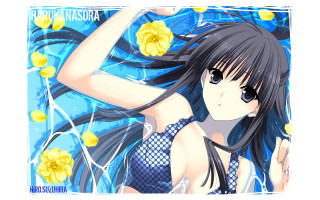Girl long black hair blue 5 - yellow flower free wallpaper