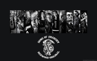 Diverse group hair beards skull - the side of the picture free wallpaper