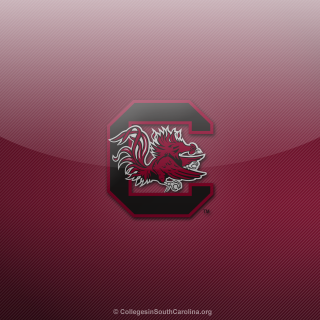 College southcarolina logo red black - cleve gray free wallpaper