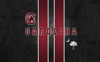 Carolina logo palm tree crescent - a palm tree in the background free wallpaper