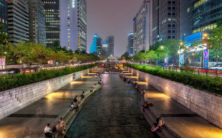 City river night people benches - bench free wallpaper