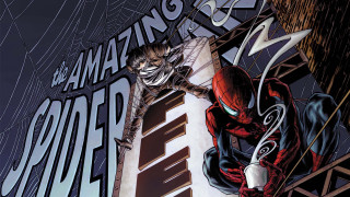 Spiderman climbing building cat on - underground comix free wallpaper