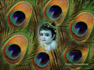 Child peacock feathers happy janmasan - an oil free wallpaper
