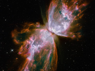 Glowing butterfly starry sky space - white star free wallpaper