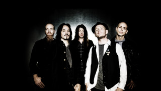 Men formal blackwhite group bald - alex petruk ape free wallpaper
