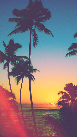 Sunset palm trees ocean orange 2 - palm tree free wallpaper