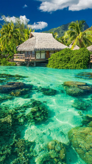 Tropical island lagoon dock thatched - tropical free wallpaper
