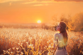 Woman field tall grass sunset - the sky in the background free wallpaper