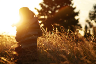 Person standing field sun trees - sunlight free wallpaper