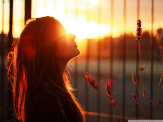 Woman fence sunset hair blowing - sunlight free wallpaper
