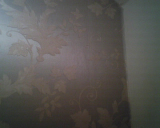 Bathroom toilet wallpaper leaves vines - a bathroom free wallpaper