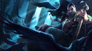 Man bird shoulder staff forest - his shoulder free wallpaper