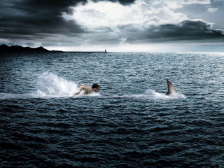 Man swimming ocean shark boat 2 - surreal photography free wallpaper