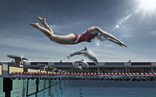 Woman diving pool dolphins sunshine - the background and a sun free wallpaper