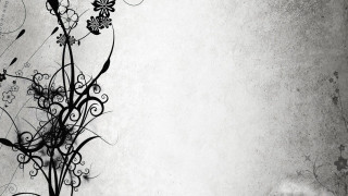 Black white plant flowers sky - carne griffiths free wallpaper