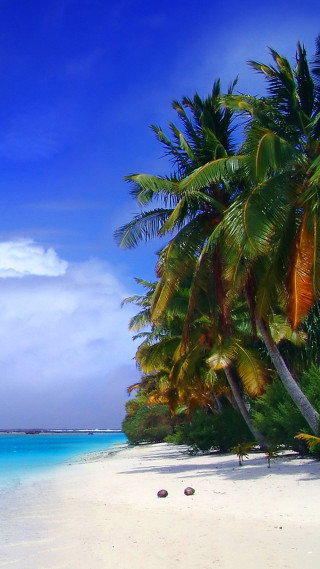 Beach boat palm trees sky - florianne becker free wallpaper