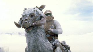 Man horse snow goat sky - a man riding free wallpaper