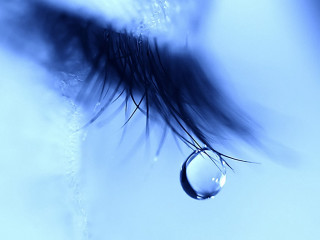 Drop water blue plant stem - a macro photograph free wallpaper