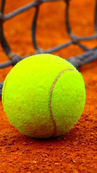 Tennis ball court net background - free sports wallpaper