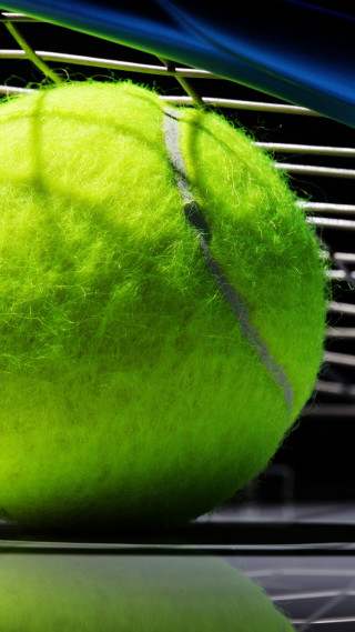 Tennis ball racket forest grass - constant permeke free wallpaper