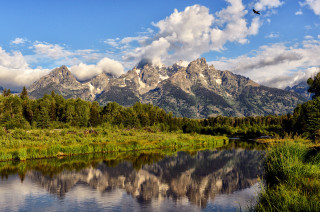 Bird flying lake mountain range - over the water free wallpaper