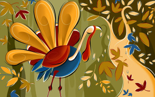 Colorful bird woods tree cat - a colorful bird free wallpaper