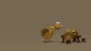 Cartoon turkey eating food turkey 2 - a plate of food free wallpaper