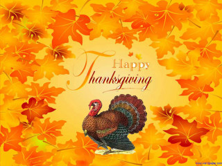 Turkey happy thanksgiving card leaves - m free wallpaper