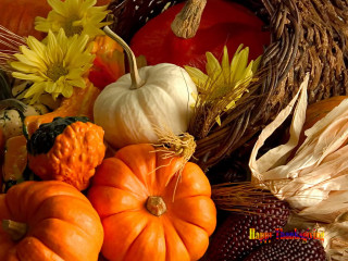 Pumpkins gourds table flowers basket - still free wallpaper