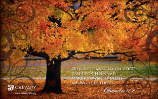 Tree leaves bible quote autumn - charlotte nasmyth free wallpaper