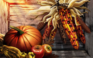 Cornucopia corn apples pumpkins wooden - a wooden background free wallpaper
